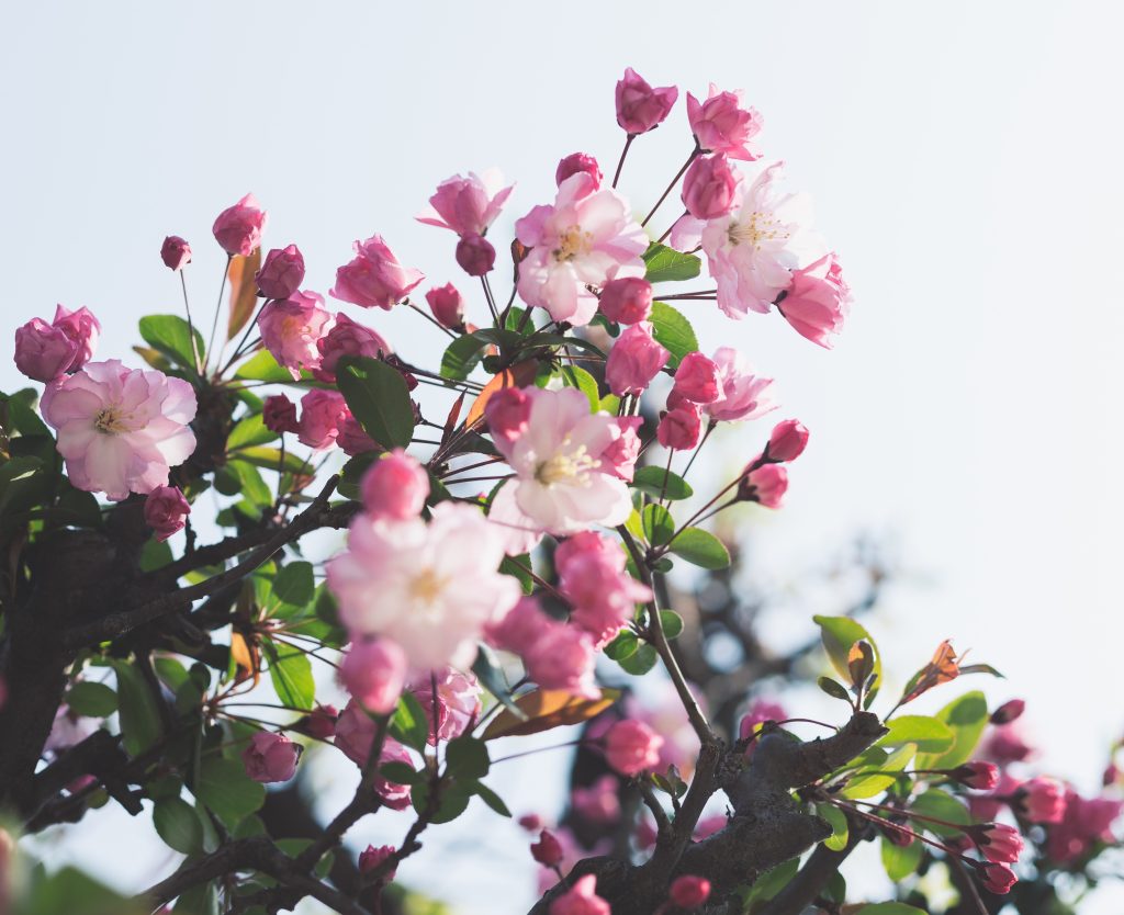 Bolehkah Memikirkan Seseorang dan Mencintainya Diam-Diam?